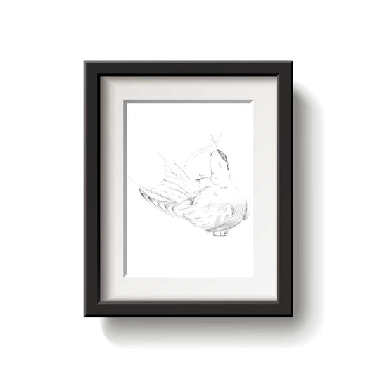 Black and white line drawing of an Arctic Tern bird on a white background