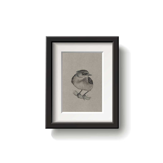 A framed bird drawing on a white background.