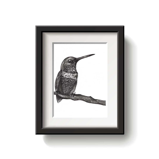 A framed bird drawing on a white background.