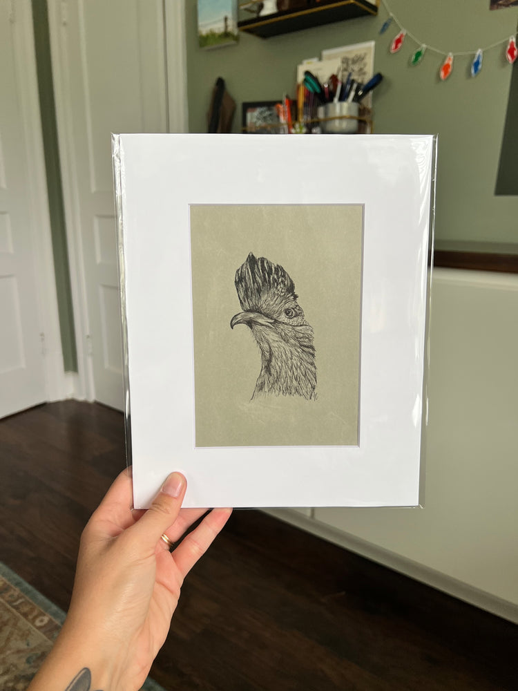 Greater Roadrunner
