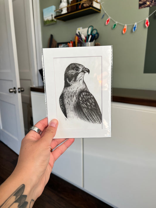 A hand holding a framed bird drawing.