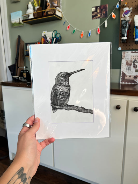 A hand holding a framed bird drawing.