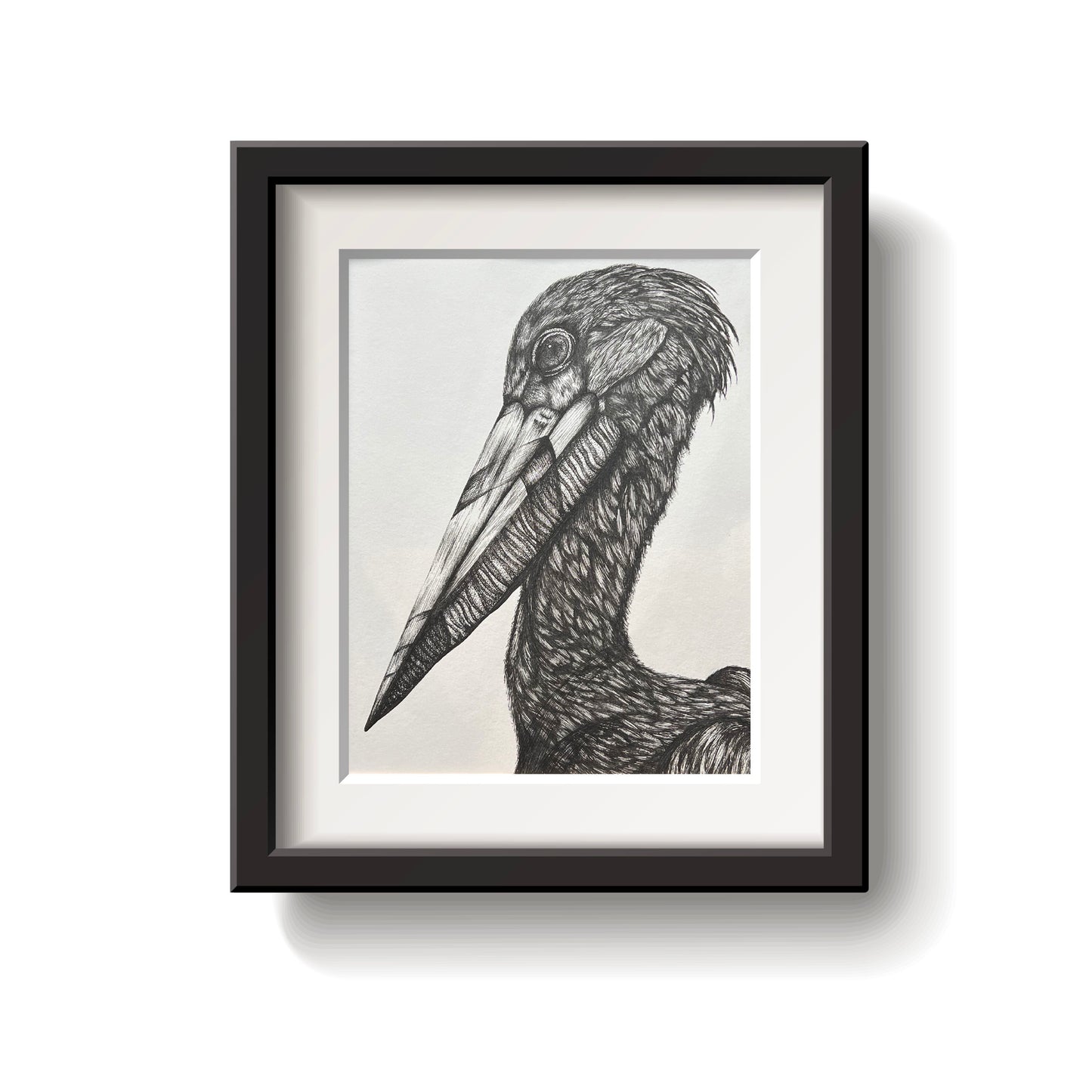 Pelican