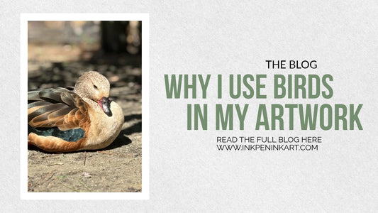 Why I use birds in my artwork