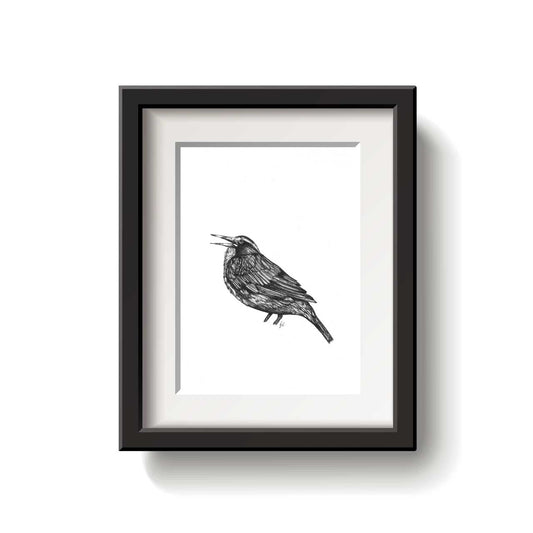 A Bird-a-Day