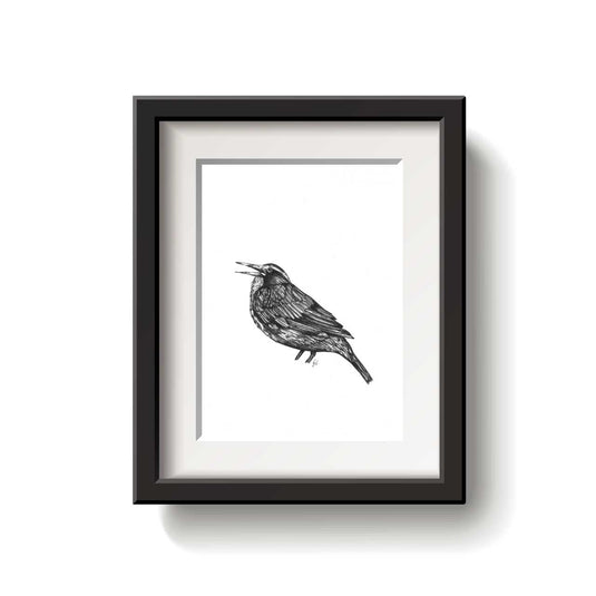 A Bird-a-Day