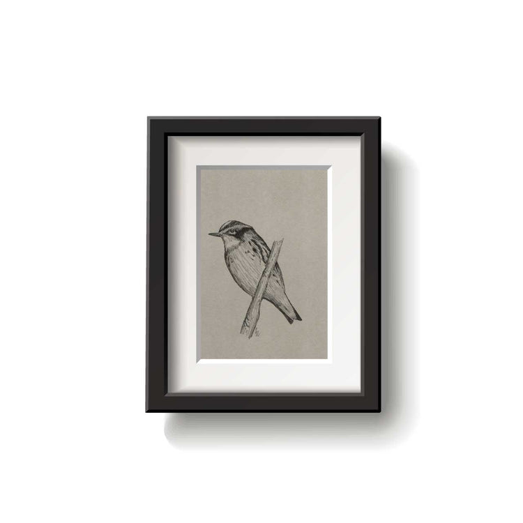 A framed bird drawing on a white background.