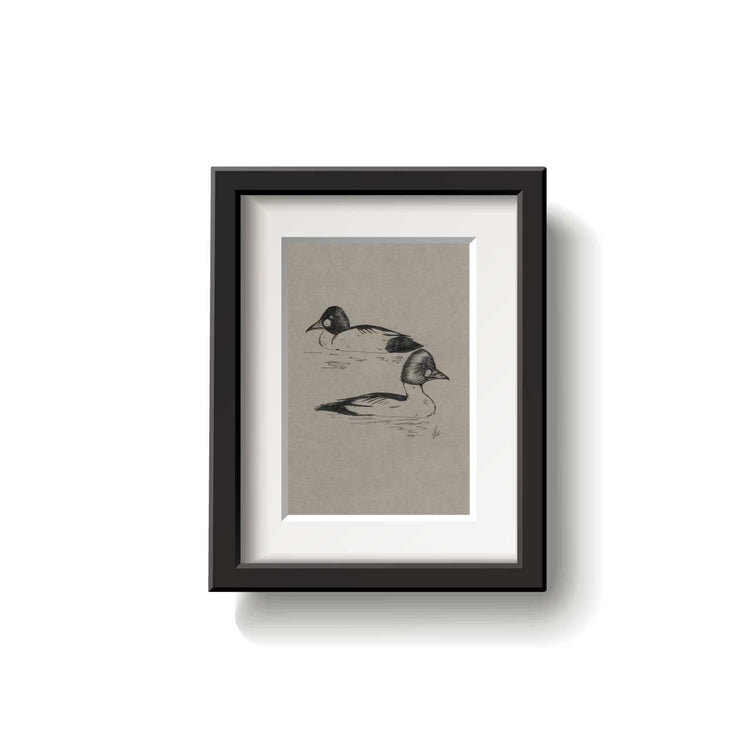 A framed bird drawing on a white background.