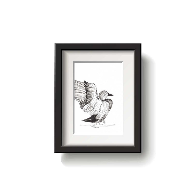 Framed black and white illustration of a bird on a white background