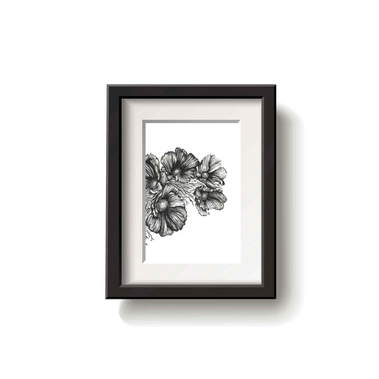Framed black and white floral drawing on a white wall