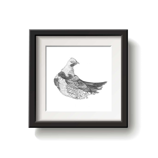 Spruce Grouse