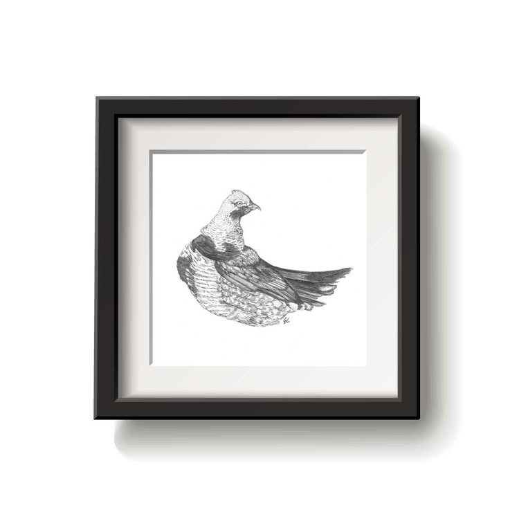 Spruce Grouse