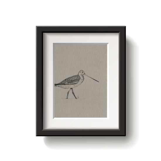 A framed bird drawing on a white background.