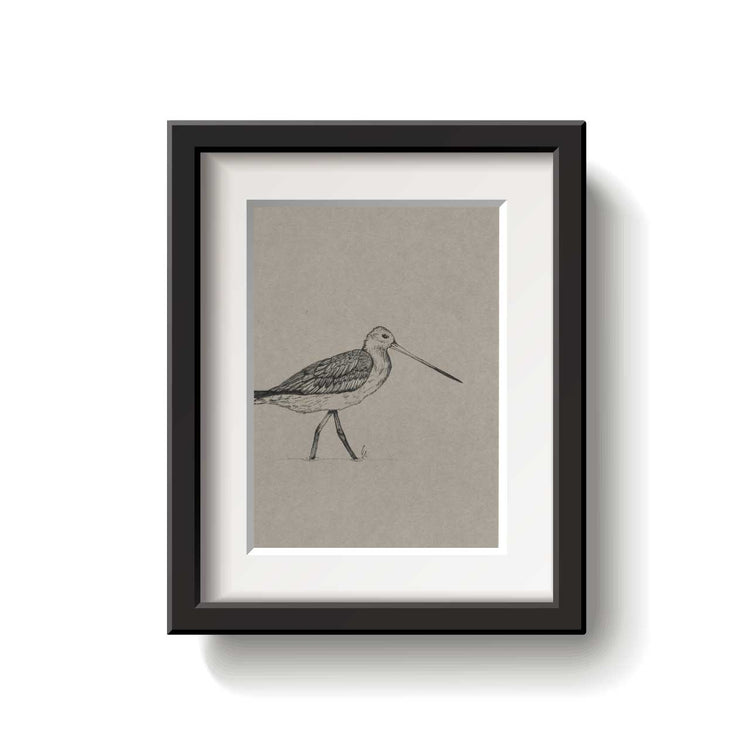 A framed bird drawing on a white background.