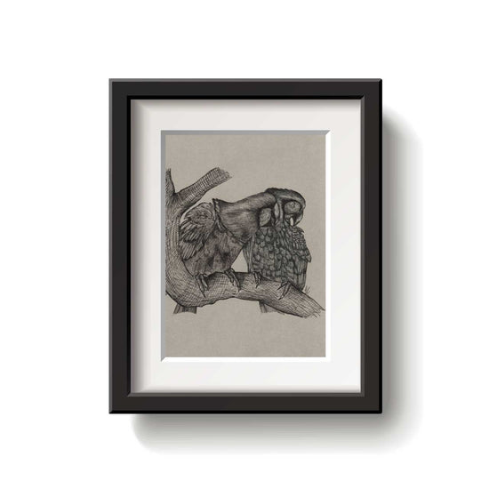 A framed bird drawing on a white background.