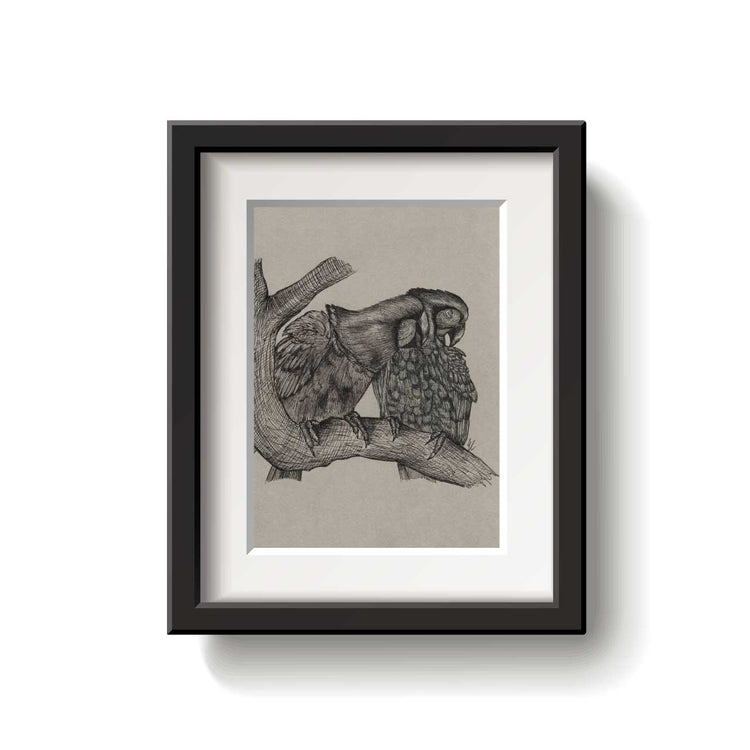 A framed bird drawing on a white background.