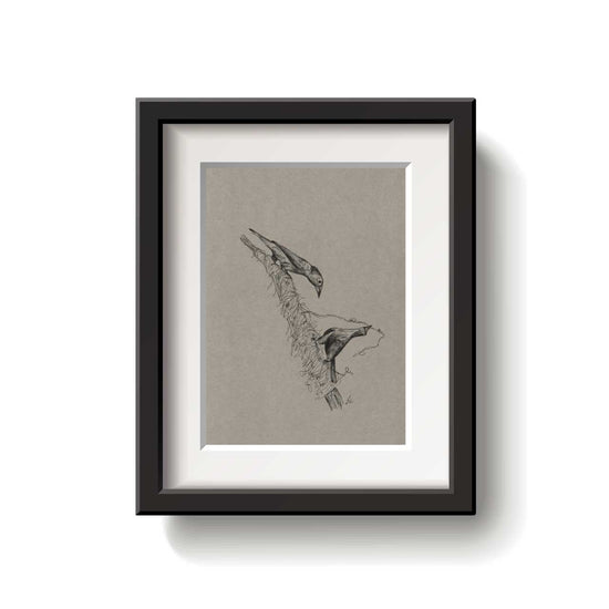 A framed bird drawing on a white background.