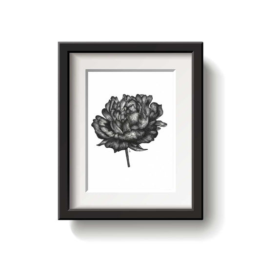 Framed black and white floral artwork on a white background