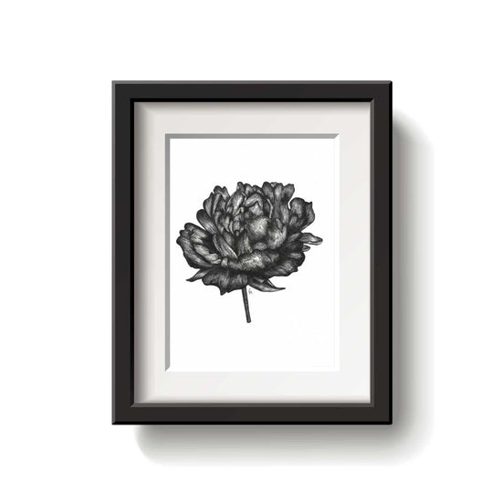 Framed black and white floral artwork on a white background