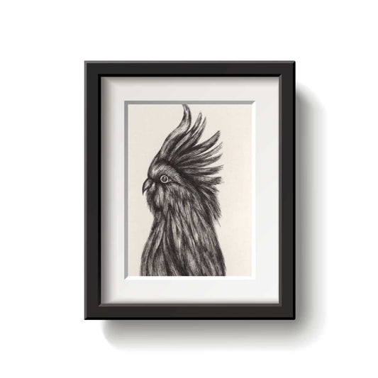 Framed drawing of a cockatoo on a white background