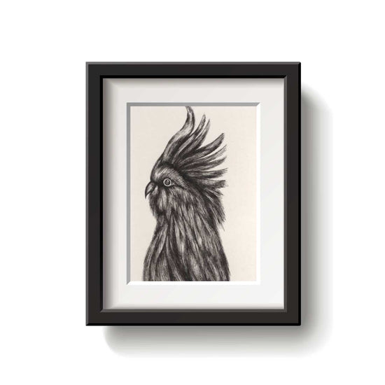 Framed drawing of a cockatoo on a white background