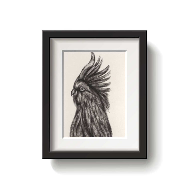 Framed drawing of a cockatoo on a white background