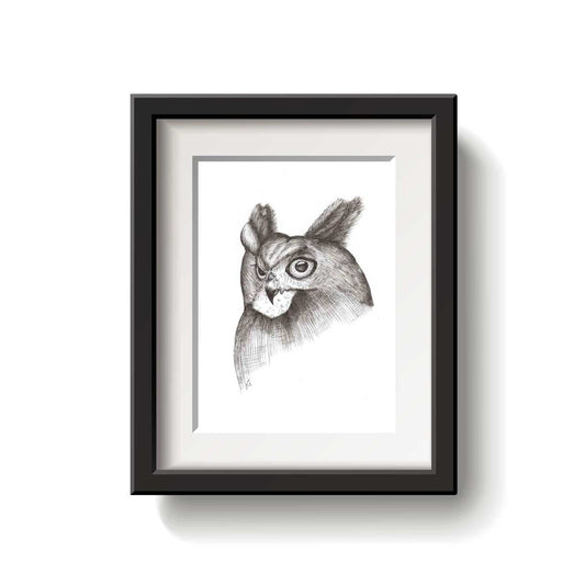 Framed black and white drawing of a great horned owl head on a white background