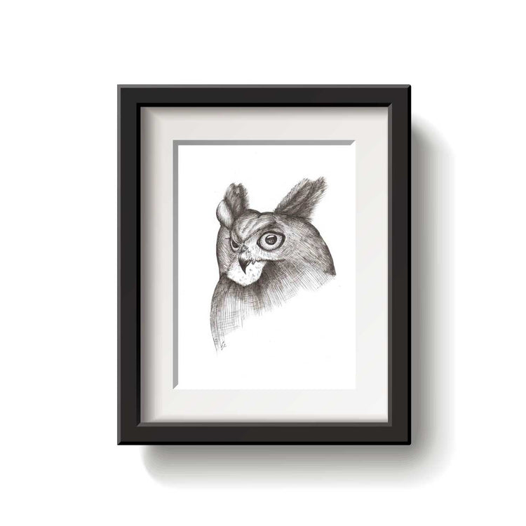 Framed black and white drawing of a great horned owl head on a white background