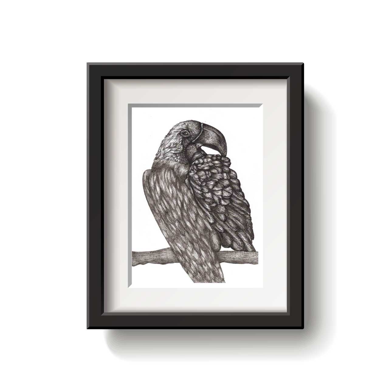 Framed black and white drawing of a macaw on a branch against a white background