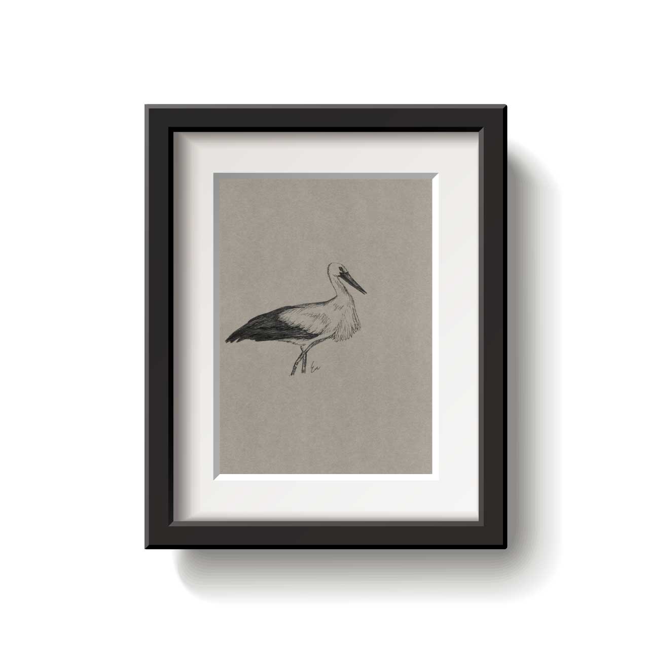 A framed bird drawing on a white background.