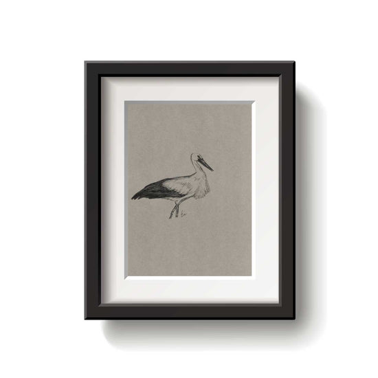 A framed bird drawing on a white background.