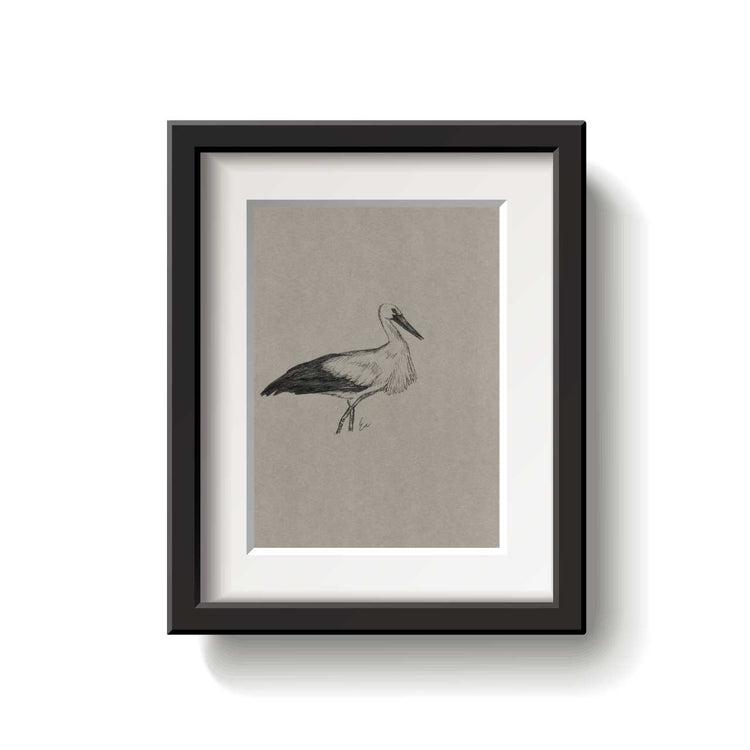 A framed bird drawing on a white background.