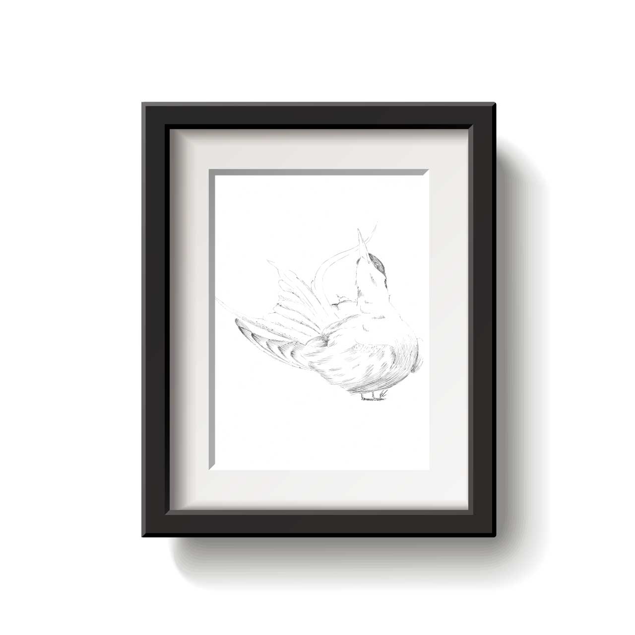 Black and white line drawing of an Arctic Tern bird on a white background