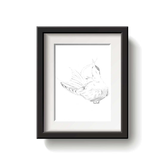 Black and white line drawing of an Arctic Tern bird on a white background