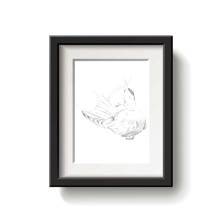 Black and white line drawing of an Arctic Tern bird on a white background