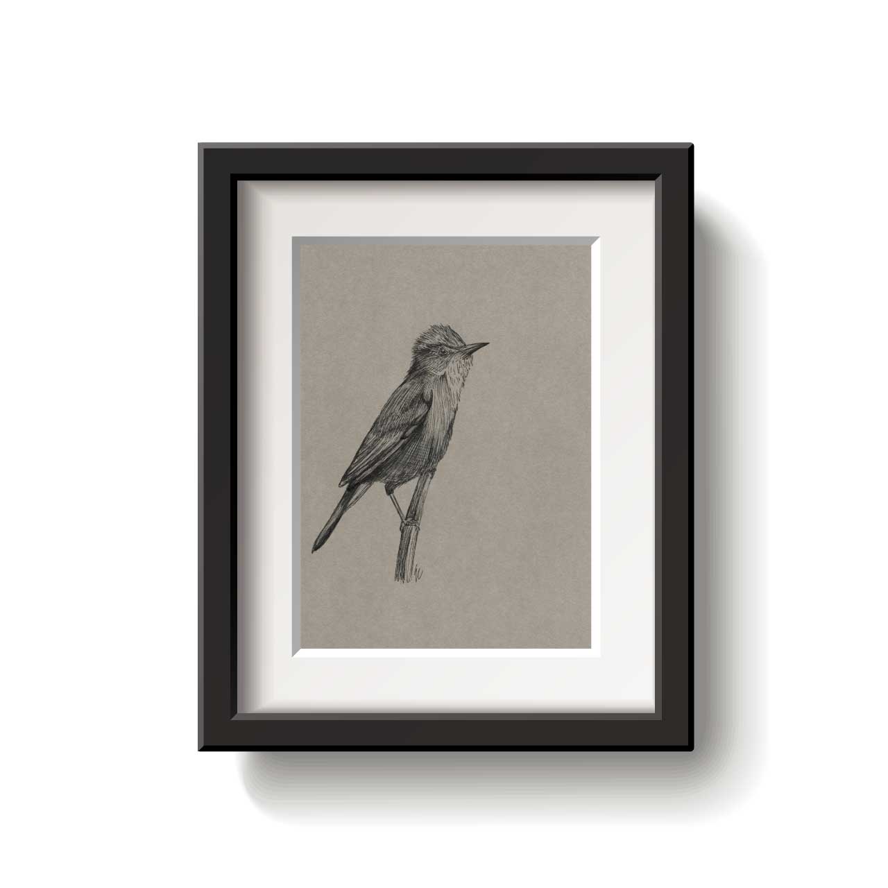 A framed bird drawing on a white background.