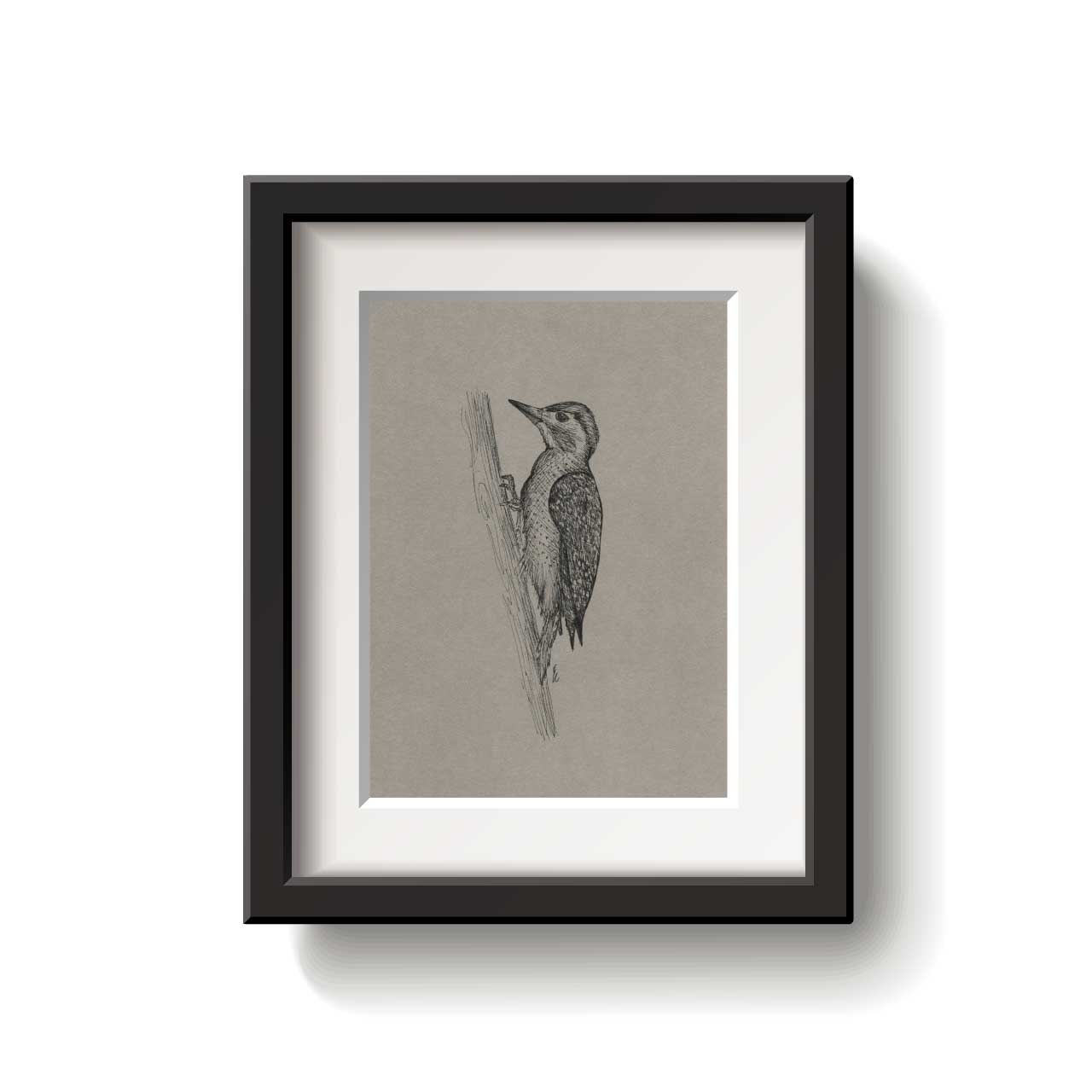 Framed artwork of a bird on a textured beige background