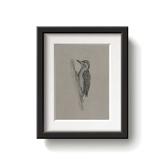 Framed artwork of a bird on a textured beige background