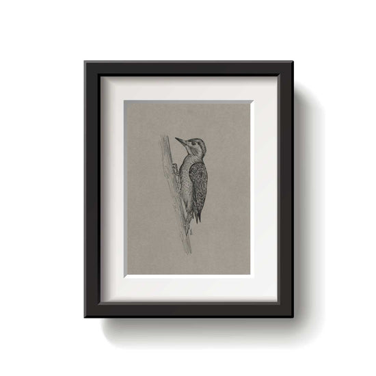 Framed artwork of a bird on a textured beige background