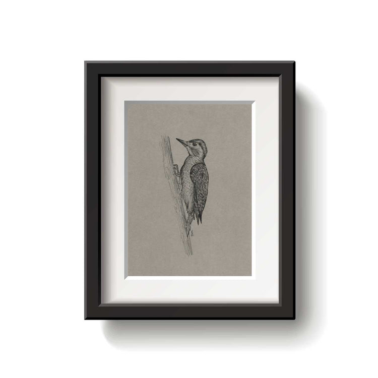Framed artwork of a bird on a textured beige background
