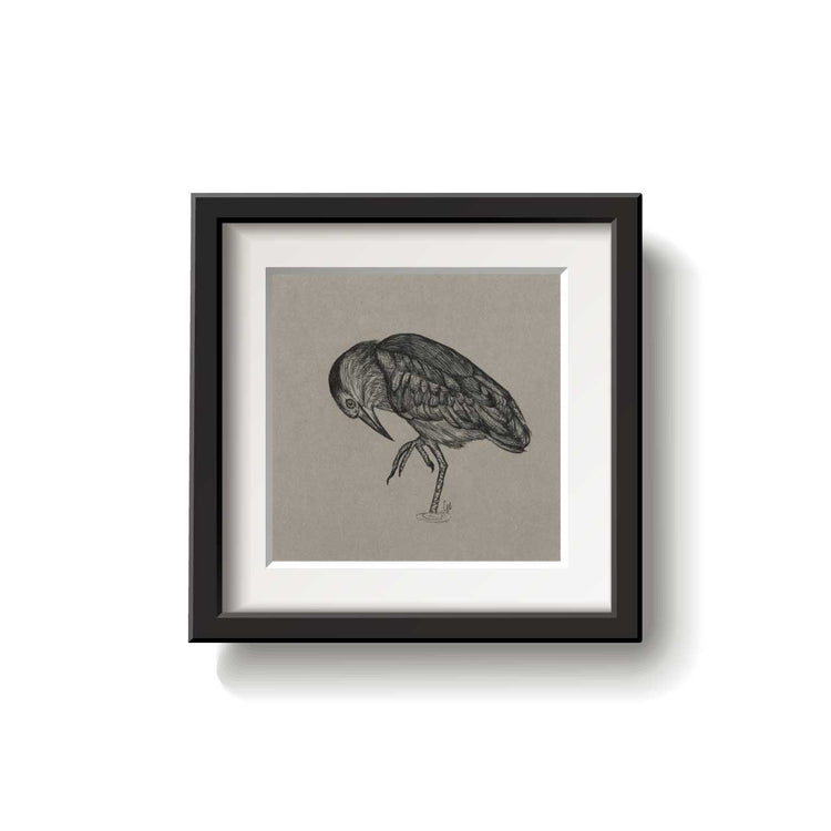 A framed bird drawing on a white background.