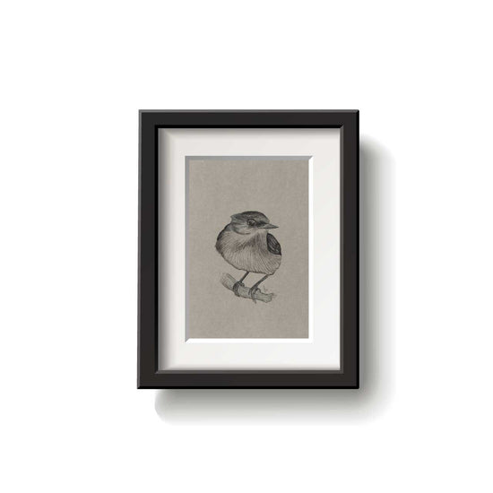A framed bird drawing on a white background.