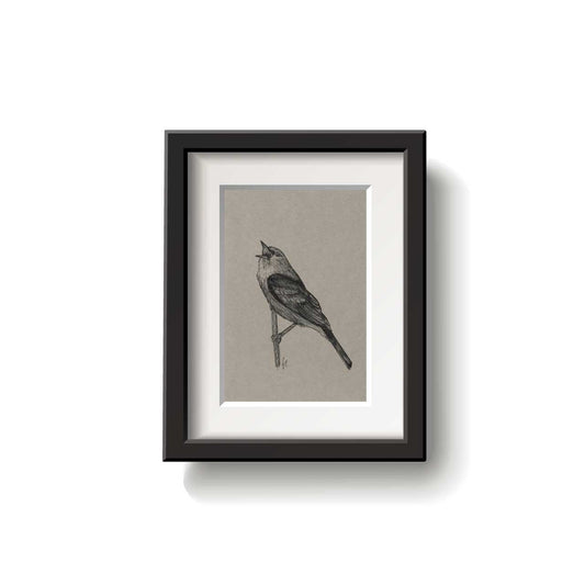 A framed bird drawing on a white background.