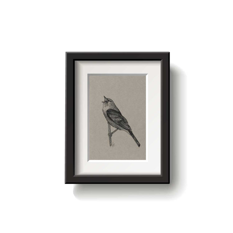 A framed bird drawing on a white background.