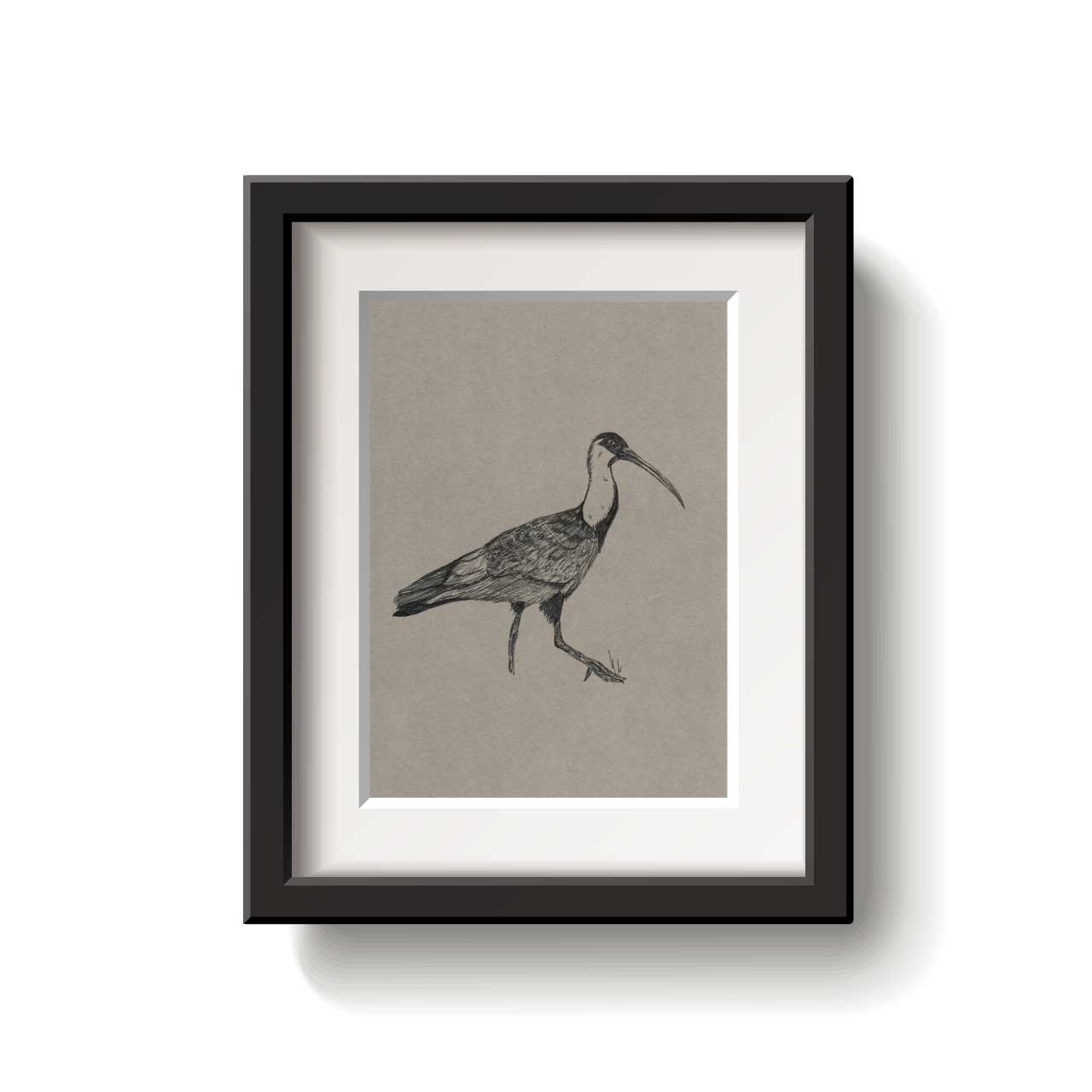 A framed bird drawing on a white background.