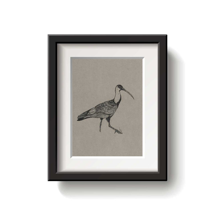 A framed bird drawing on a white background.
