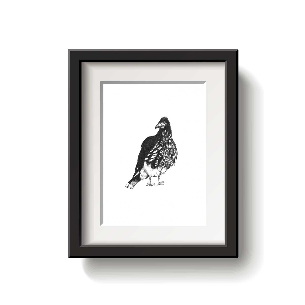 Black and white illustration of a Carunculated Caracara bird on a white background
