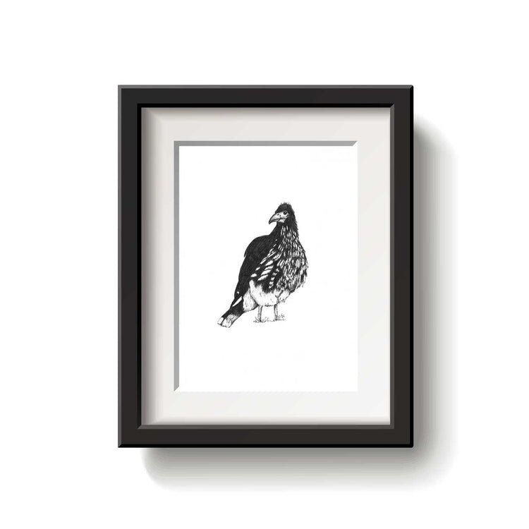 Black and white illustration of a Carunculated Caracara bird on a white background