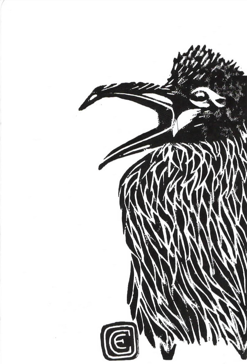 Crow Postcards (Black)