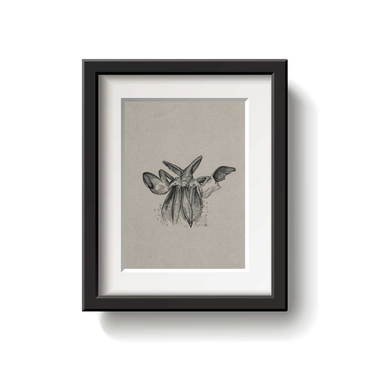 A framed bird drawing on a white background.